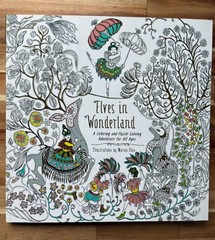 Elves in Wonderland colouring book by Marcos Chin
