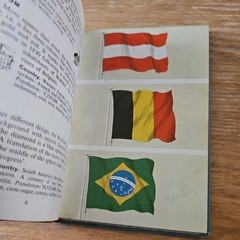 A Ladybird Book Of Flags Series 584 1st Edition David Carey J H Wingfield M8