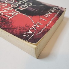 A Court Of Thorn And Roses Original Cover Paperback Book Sarah J. Maas 2015