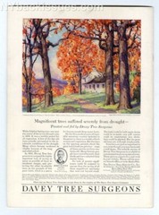 New Yorker magazine July 2 1932 W E Farbstein John Hays Hammond Jr radio VF