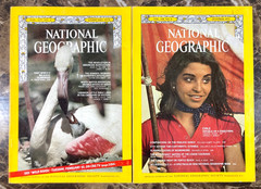 National Geographic Magazine 1968-2024 Lot of 10 Random Pick G-VG No Duplicates