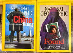 National Geographic Magazine 1968-2024 Lot of 10 Random Pick G-VG No Duplicates