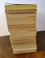 R.L. STINE LOT OF 15 BOOKS YOUNG ADULT HORROR THE BABY-SITTER HALLOWEEN NIGHT