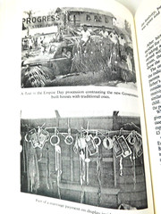 Sociological Study of Papua New Guinea The Great Village by C. Belshaw 2004 HC