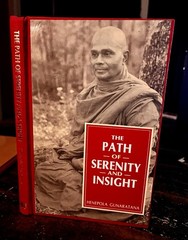 The Path of Serenity and Insight Theravada Buddhism Buddhist Henepola Gunaratana