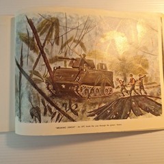 Tropic Lightning Combat Art Vol. IV Vietnam War U.S. Army Book, Jul – Dec 1968