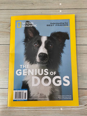 National Geographic Magazine April 2026 the genius of dogs best friends