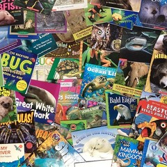 Children’s Random Animal Science Nonfiction Education Classroom 20 Book Lot