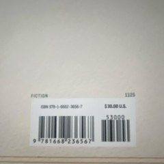 Allen Levi Theo of Golden Hardcover Novel Signed Inscribed 2025 Atria