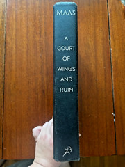A Court of Wings and Ruin Sarah J. Maas Hardcover (2017) Good to Fair Condition