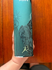 A Court of Wings and Ruin Sarah J. Maas Hardcover (2017) Good to Fair Condition