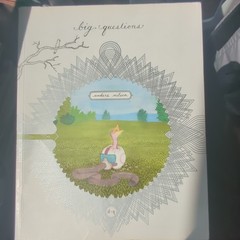 Big Questions Hardcover Illustrated 2009 Drawn & Quarterly Anders Nilsen