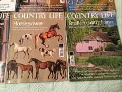 8 Country Life Magazine Bundle All 2024 In Very Good Condition
