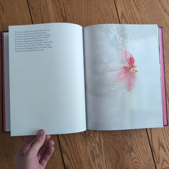 Blue Violet by Cig Harvey Hardcover 2021